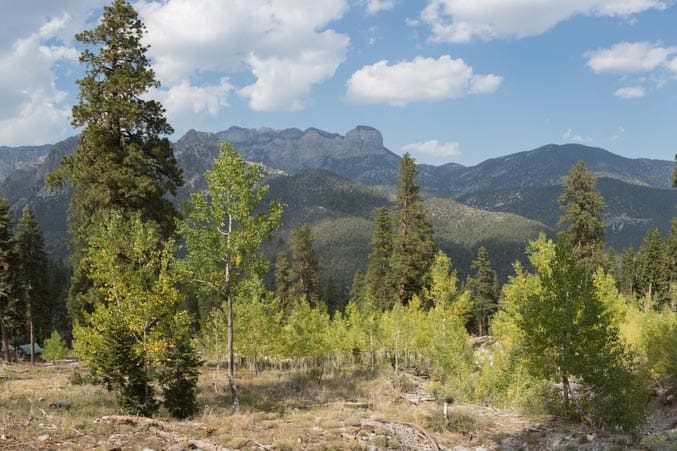 Patchy fall color at Cathedral Rock/NRT Trail, Spring Mountains, Nevada